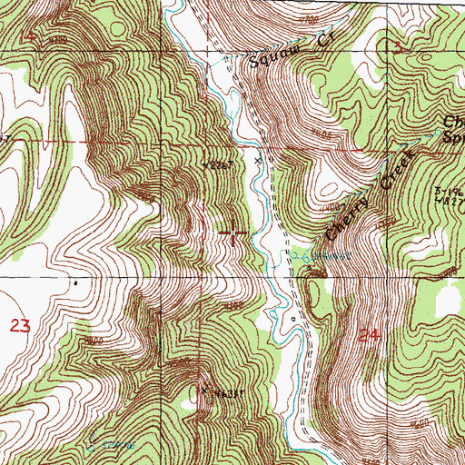 Topographic Map of Cherry Creek, OR