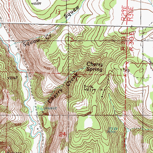 Topographic Map of Cherry Spring, OR