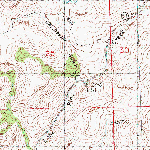 Topographic Map of Chichester Gulch, OR