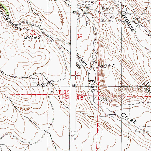 Topographic Map of Chicken Creek, OR