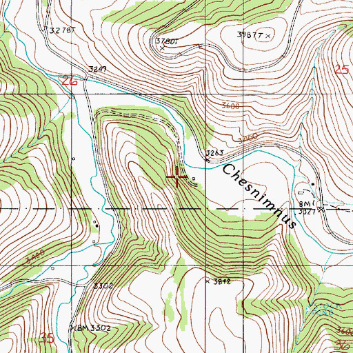 Topographic Map of Chico Guard Station (historical), OR