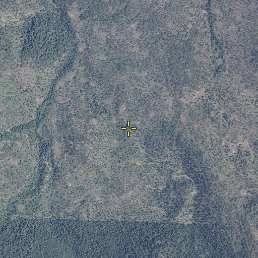 Aerial/Satellite Image of China Camp Spring, OR