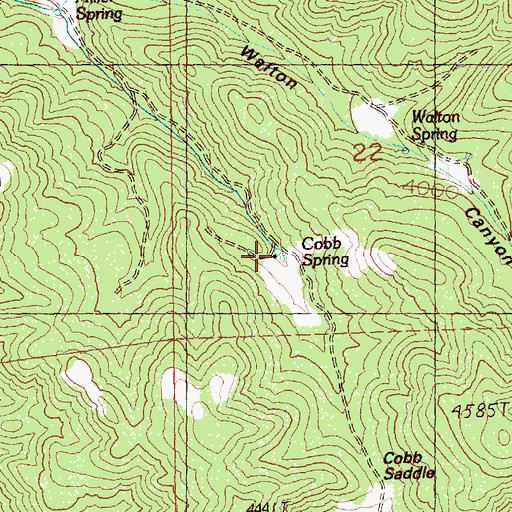 Topographic Map of Cobb Springs, OR