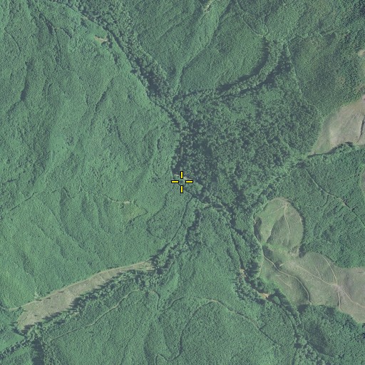 Aerial/Satellite Image of Coon Creek, OR