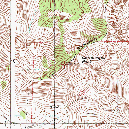 Topographic Map of Cornucopia Peak, OR