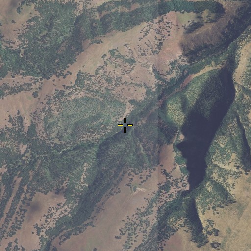 Aerial/Satellite Image of Cotton Spring, OR
