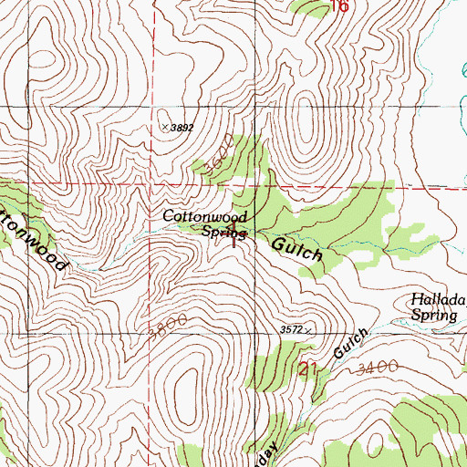 Topographic Map of Cottonwood Spring, OR