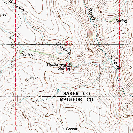 Topographic Map of Cottonwood Spring, OR