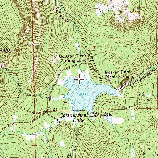 Topographic Map of Cougar Creek, OR