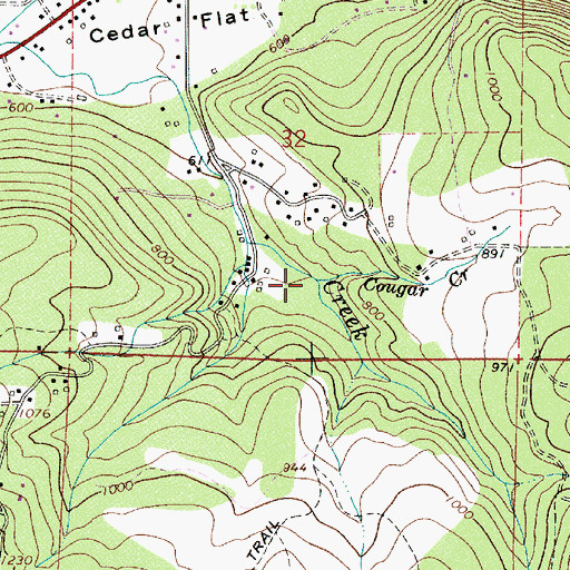 Topographic Map of Cougar Creek, OR