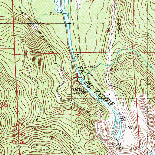 Topographic Map of Cougar Creek, OR