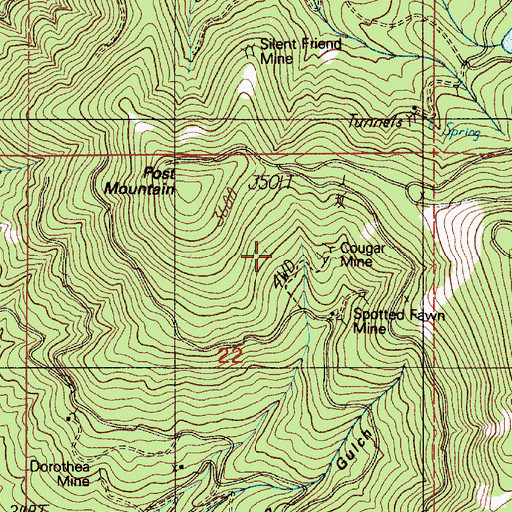 Topographic Map of Cougar Mine, OR