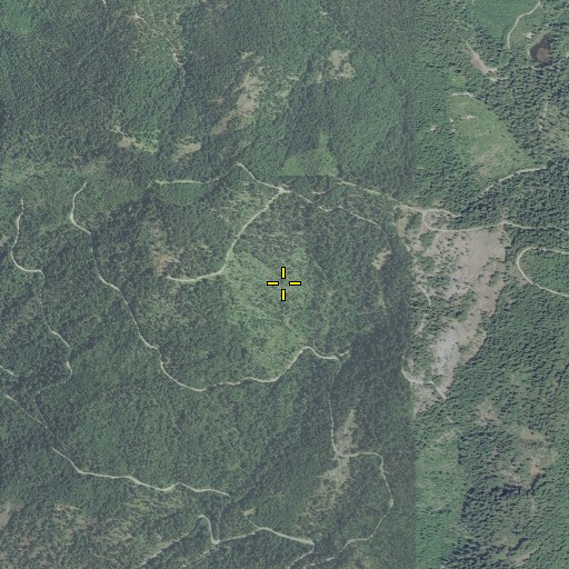 Aerial/Satellite Image of Cougar Mine, OR