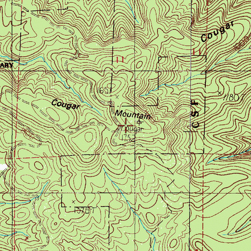 Topographic Map of Cougar Mountain, OR