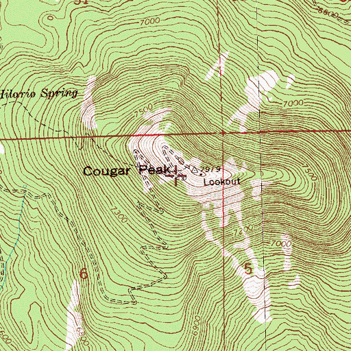 Topographic Map of Cougar Peak, OR