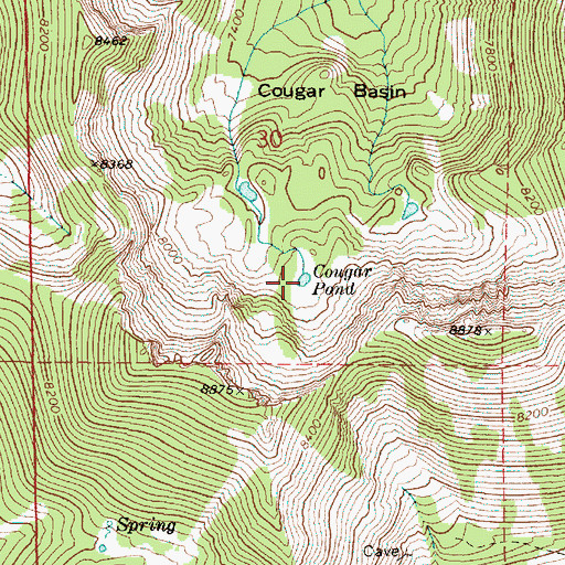 Topographic Map of Cougar Pond, OR