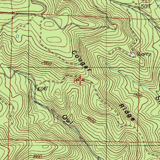 Topographic Map of Cougar Ridge, OR