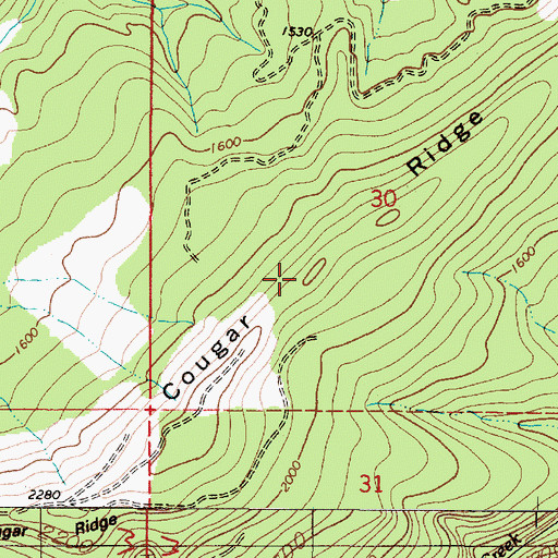Topographic Map of Cougar Ridge, OR