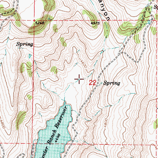 Topographic Map of Cow Canyon, OR