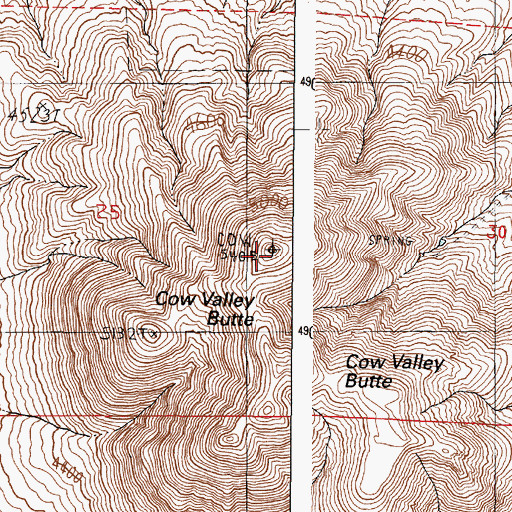 Topographic Map of Cow Valley Butte, OR