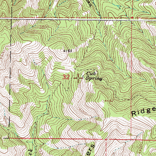 Topographic Map of Cub Spring, OR