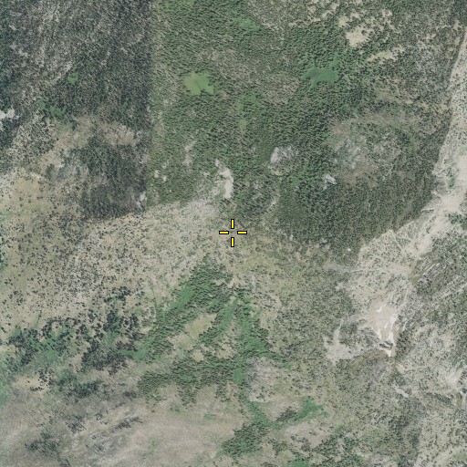 Aerial/Satellite Image of Cunningham Saddle, OR