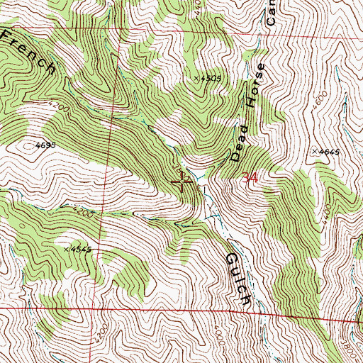 Topographic Map of Dead Horse Canyon, OR
