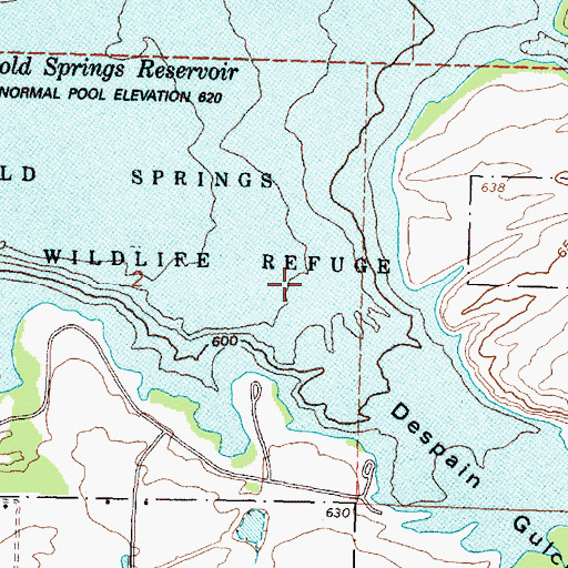 Topographic Map of Despain Gulch, OR