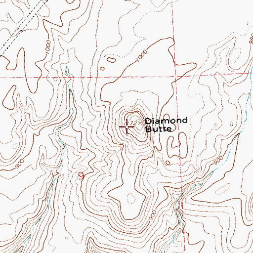 Topographic Map of Diamond Butte, OR