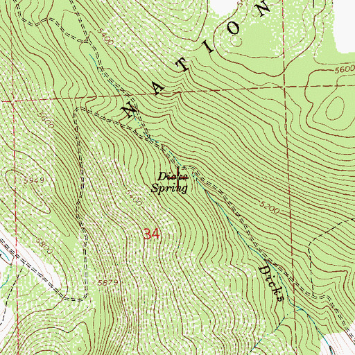 Topographic Map of Dicks Spring, OR