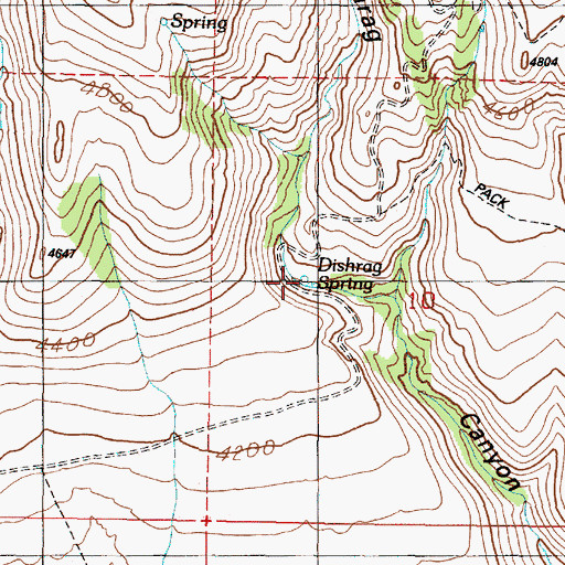Topographic Map of Dishrag Spring, OR