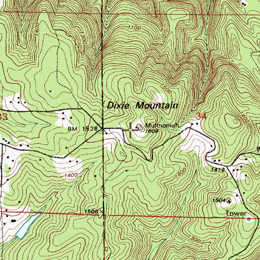 Topographic Map of Dixie Mountain, OR