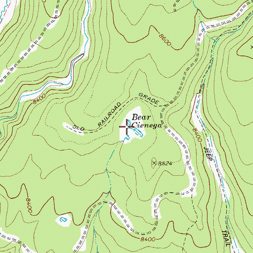 Topographic Map of Bear Cienega, AZ