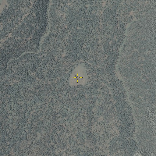Aerial/Satellite Image of Bear Cienega, AZ