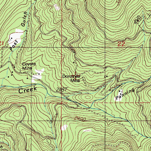 Topographic Map of Dorothea Mine, OR