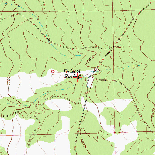 Topographic Map of Driscol Spring, OR
