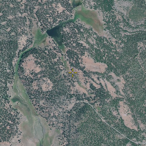 Aerial/Satellite Image of Dry Gulch, OR
