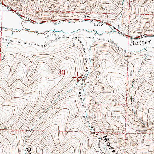 Topographic Map of Dry Morris Canyon, OR