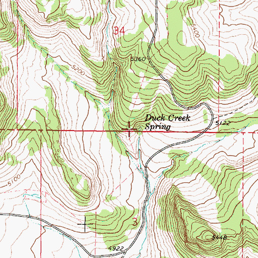 Topographic Map of Duck Creek Spring, OR