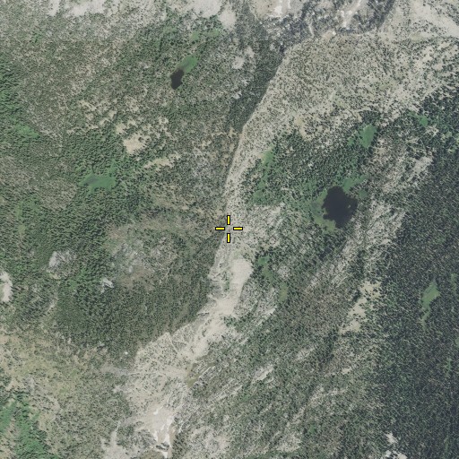 Aerial/Satellite Image of Dutch Flat Saddle, OR