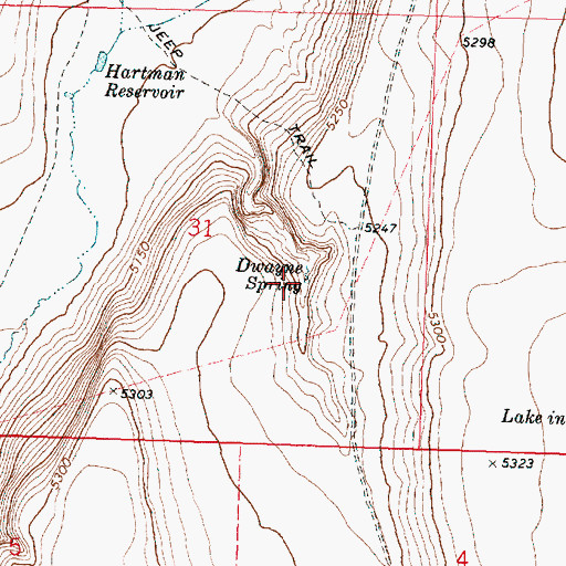 Topographic Map of Dwayne Spring, OR