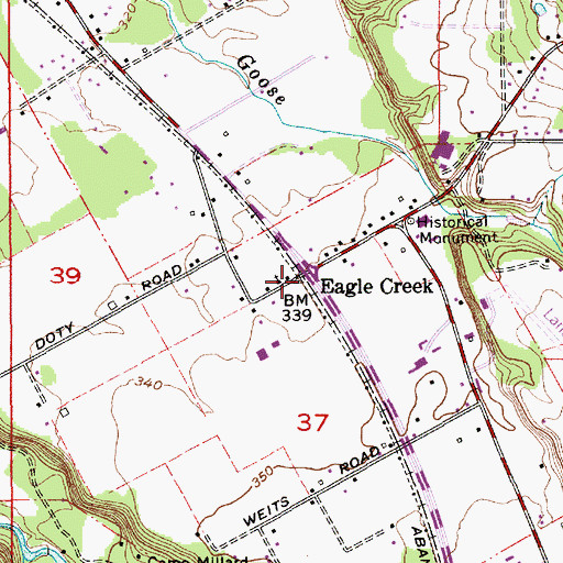 Topographic Map of Eagle Creek, OR