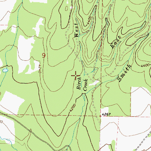 Topographic Map of East Fork Birch Creek, OR