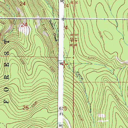 Topographic Map of East Fork Indian Creek, OR