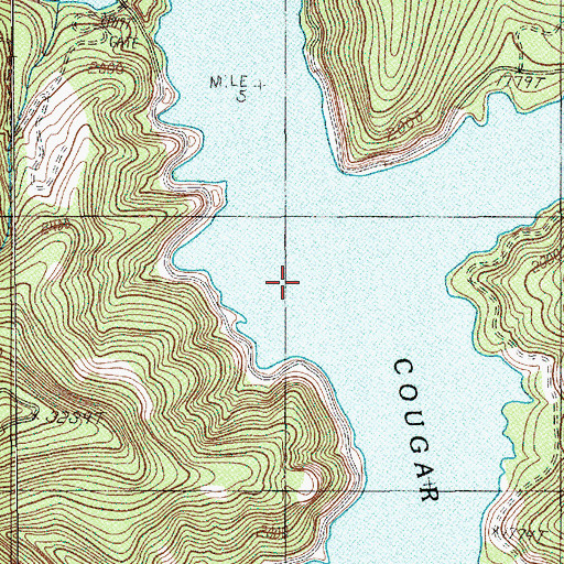 Topographic Map of East Fork South Fork McKenzie River, OR