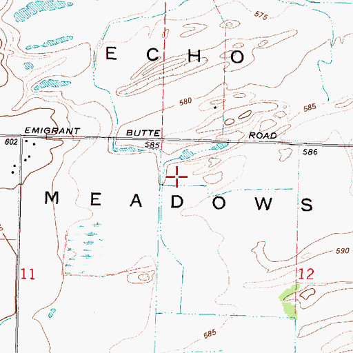 Topographic Map of Echo Meadows, OR