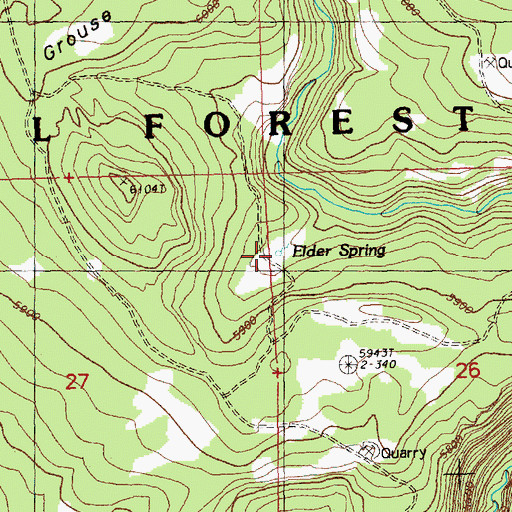 Topographic Map of Edler Spring, OR
