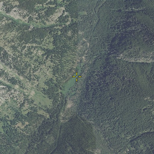 Aerial/Satellite Image of Eilertson Meadow, OR