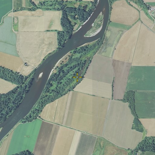 Aerial/Satellite Image of Eldriedge Slough, OR