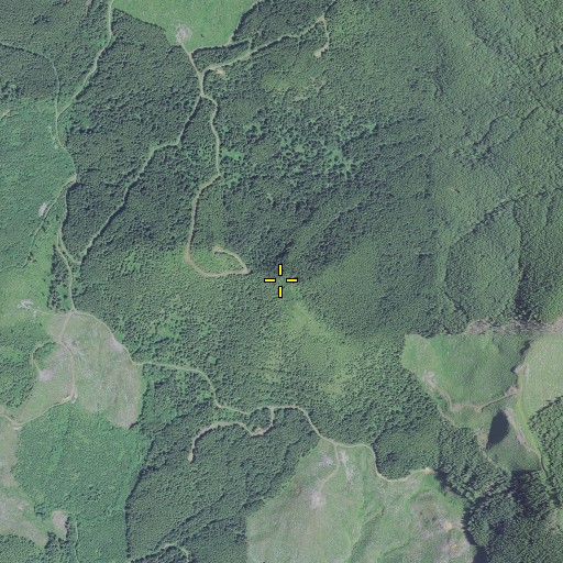 Aerial/Satellite Image of Elk Mountain, OR